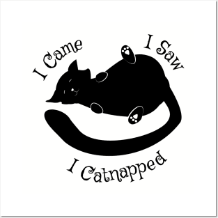 I Came I Saw Catnapped Cute Cat Posters and Art